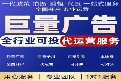 SEM广告案例：数据分析驱动营销决策
